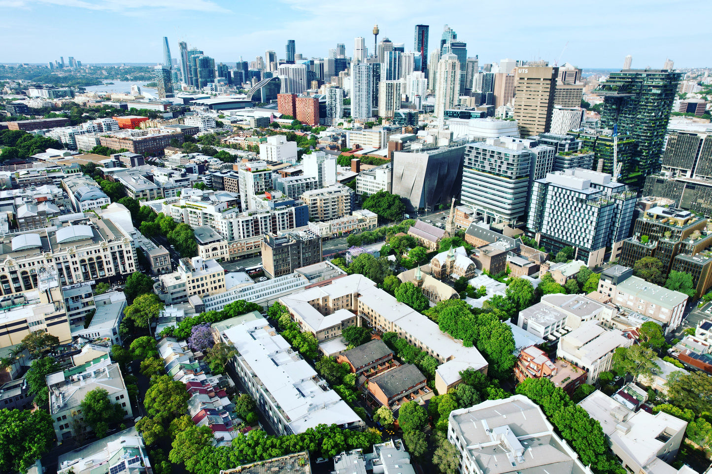 FOTO ENMARCADA de la ciudad de la jungla de Sydney