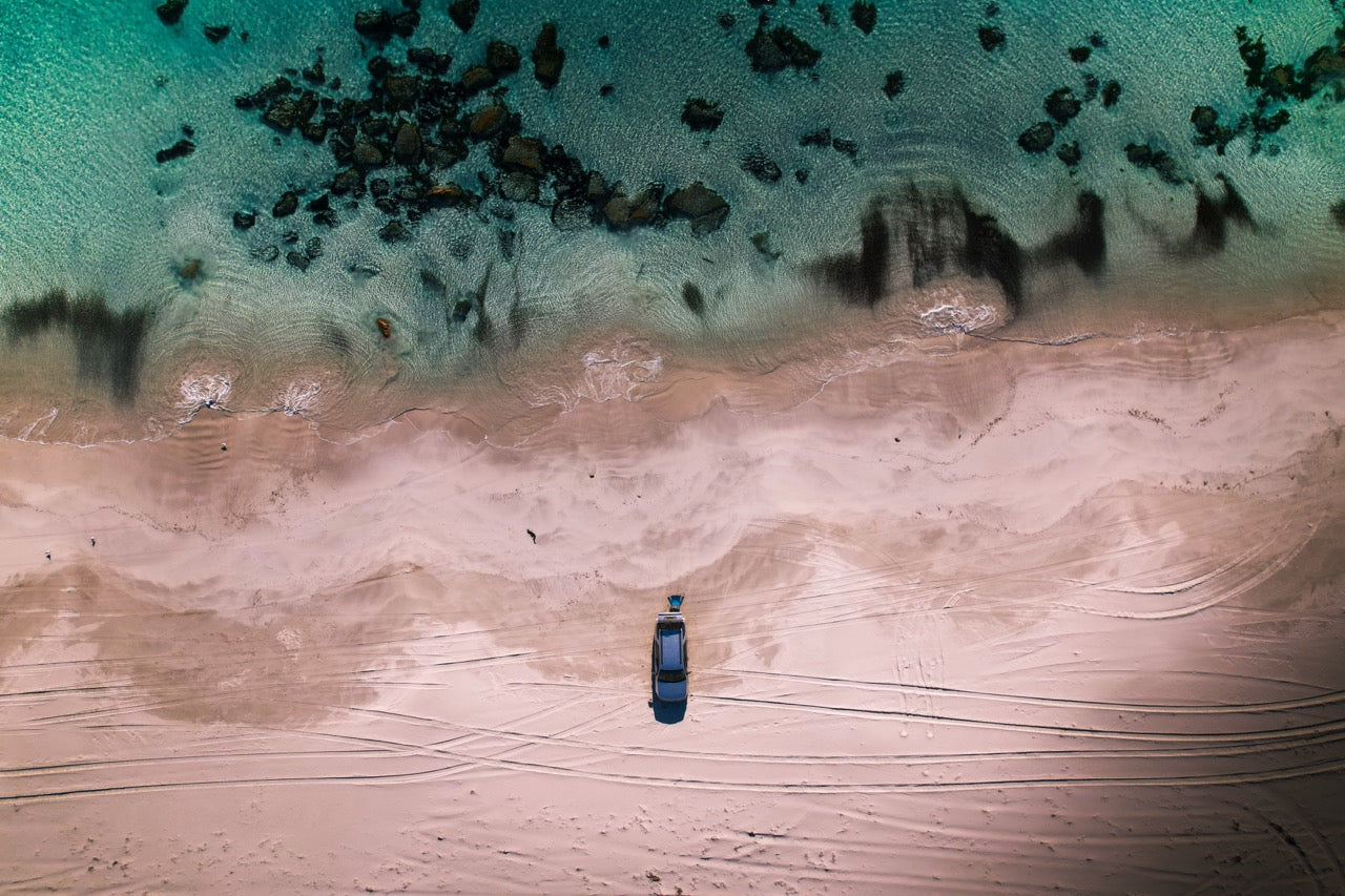 Kangaroo Island Chilling at Emu Bay CANVAS