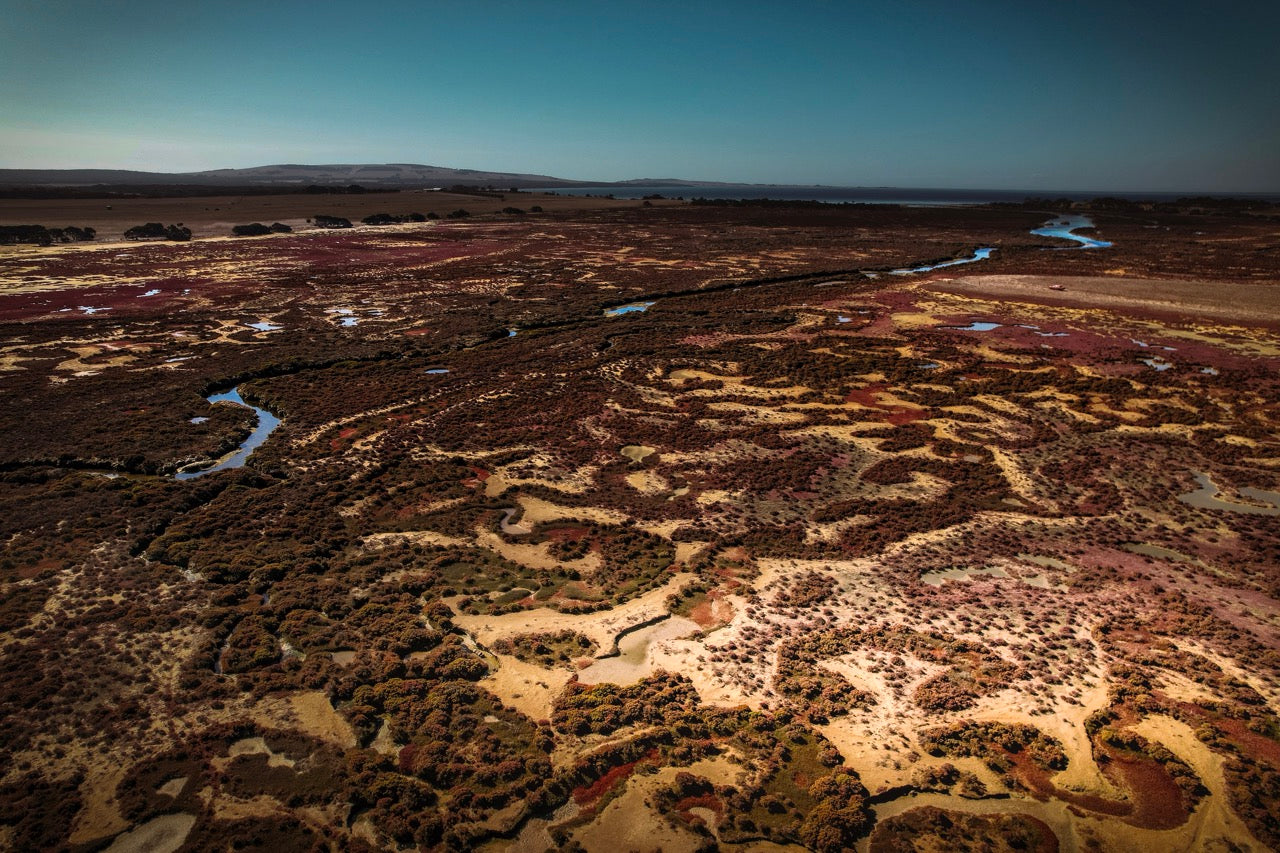 Kangaroo Island Wild autumn CANVAS