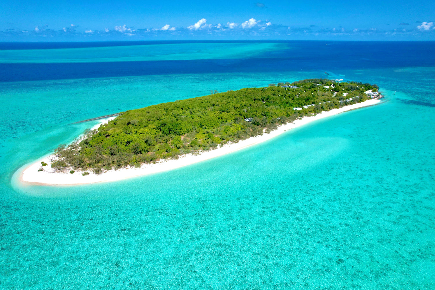 Heron Island