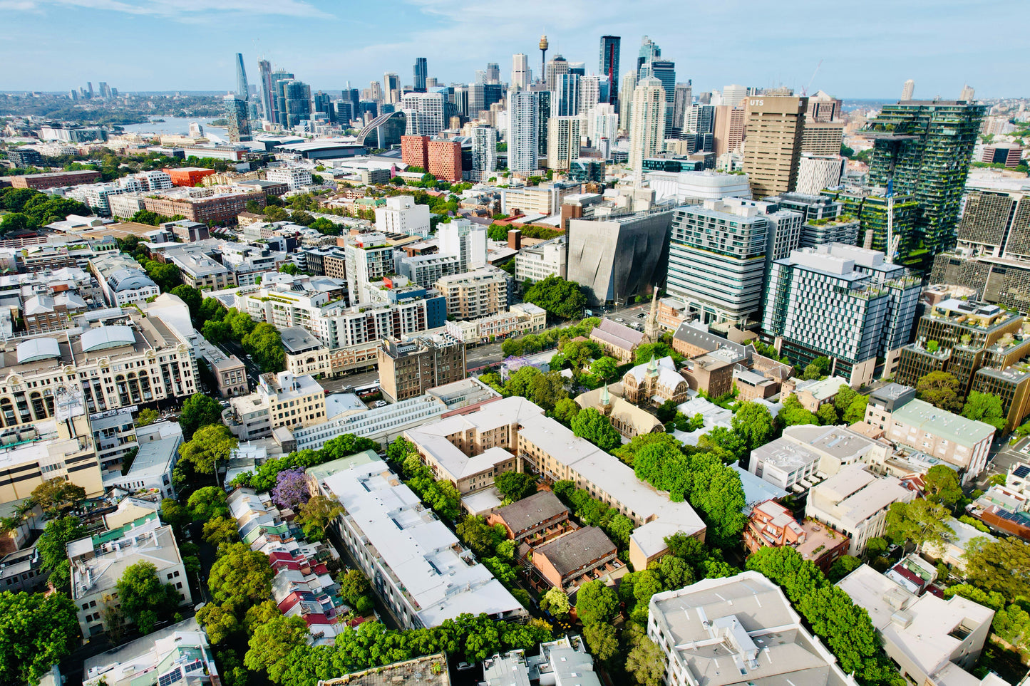 Sydney Jungle City CANVAS