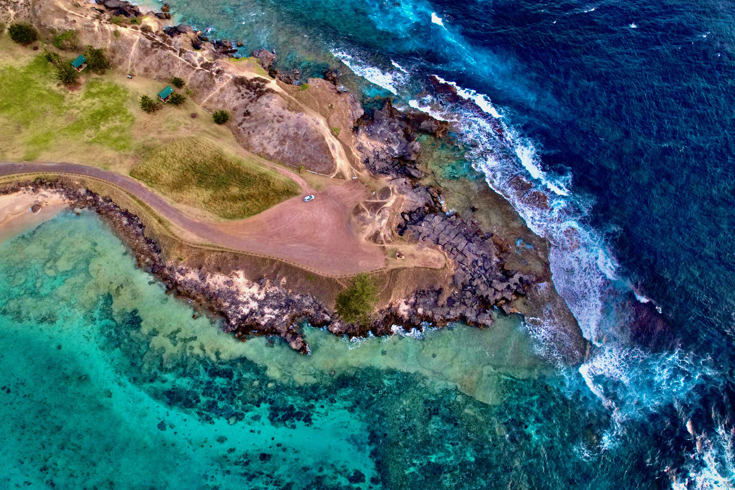 Norfolk Island Two oceans and a Lone pine tree FRAMED PHOTO